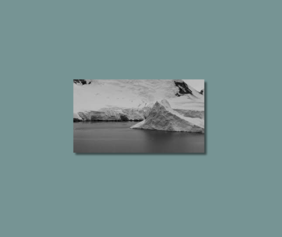 Winter Voices - Free Plugin Presets/Libraries Plugin