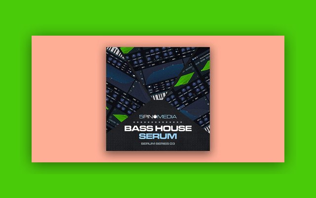 Bass House Serum - Paid Plugin Presets/Libraries Plugin