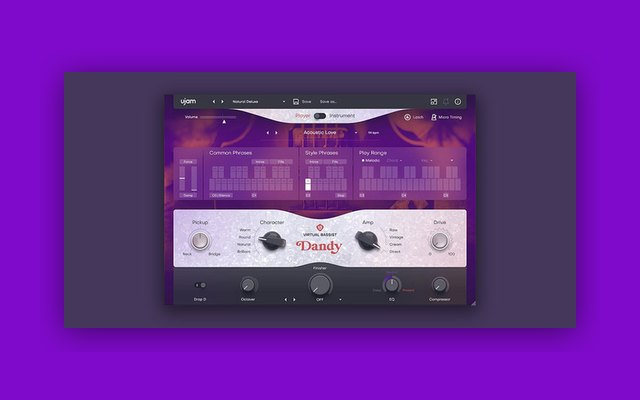 DANDY - Paid Instrument Plugins (VST) Plugin