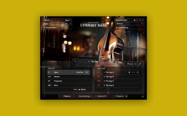 Session Bassist - Upright Bass - Paid Instrument Plugins (VST) Plugin