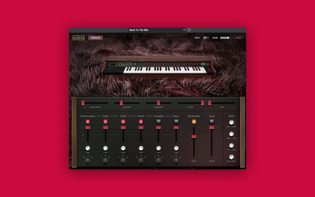 Solina - Paid Instrument Plugins (VST) Plugin